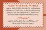 Bari Azmaish ( Hazrat Ayub A.S ) Qasas ul Ambia - Image 2