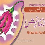 Bari Azmaish ( Hazrat Ayub A.S ) Qasas ul Ambia