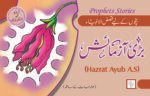 Bari Azmaish ( Hazrat Ayub A.S ) Qasas ul Ambia