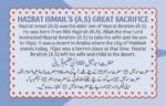 Be Misal Qurbani (Hazrat Ismail A.S ) Qasas ul Ambia - Image 2