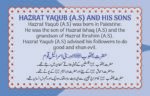 Bety Ki Judai ( Hazrat Yaqub A.S ) Qasas ul Ambia - Image 2
