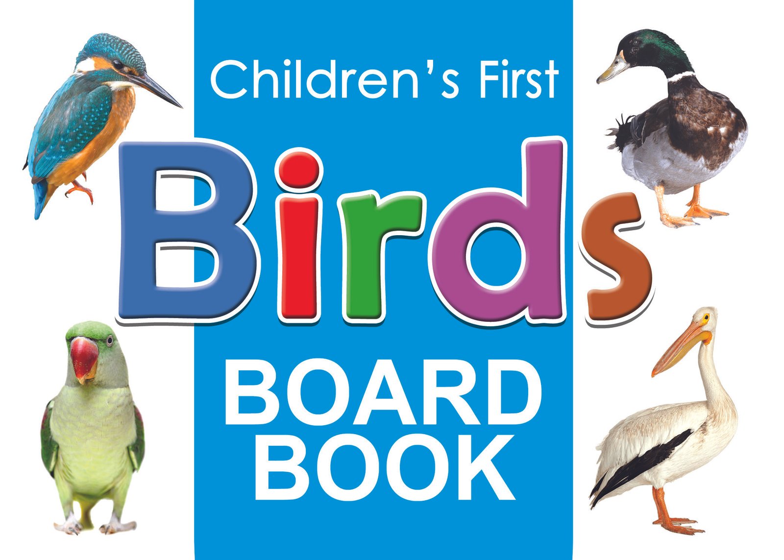 birds Children's First "Birds" Board Book - Image 1