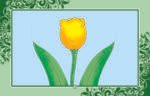 Hazrat Muhammad S.A.W ( Qasas ul Quran ) - Image 2