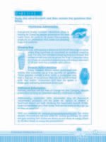 Children's Comprehension Practice Workbook Primary 4 - Image 3