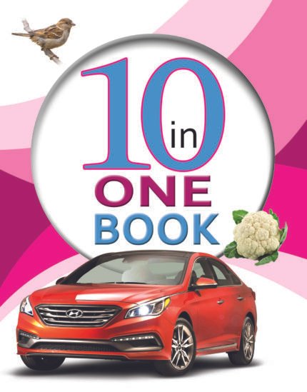 10 In One Book