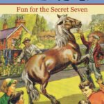 Enid Blyton: The Secret Seven Fun for the Secret Seven
