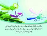 Guroor ka Sarneecha ( Hum Chand Tare ) - Image 2