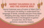 Hazrat Sulaiman ( A,S ) Prophet Stories - Image 2