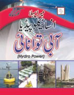 Mera Pehla Encyclopedia Aabi Tawanae (Hardcover)