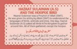 Malka Saba Ka Takht ( Hazrat Sulaiman A.S ) Qasas ul Ambia - Image 2