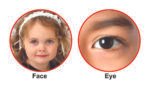 My Smart Body Parts & Actions (Board Book) (Non Tearable Book) - Image 3