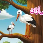 Pehli Uraan