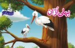 Pehli Uraan