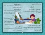 Mera Pehla Encyclopedia Salat - Image 4