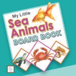 My Little Sea Animals Board Book