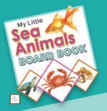 My Little Sea Animals Board Book