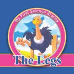 My First Science Stories The legs