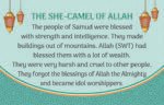 She camel of Allah (A.S) Prophet Stories - Image 2