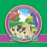 My First Science Stories The Tail