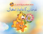 Tillo Miya Ka Shandar Istaqbal