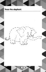 Tracing Lines ( Pre Primary Activity Book ) - Image 2