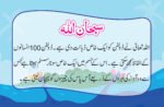 Zaheen Dolphin - Image 3