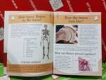My First Encyclopedia Of Human Body (Hardcover) In English - Image 2