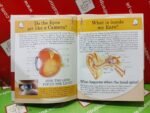 My First Encyclopedia Of Human Body (Hardcover) In English - Image 3