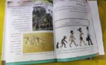 Mera Pehla Encyclopedia Zameen ( Earth  Hard Cover ) In Urdu - Image 3